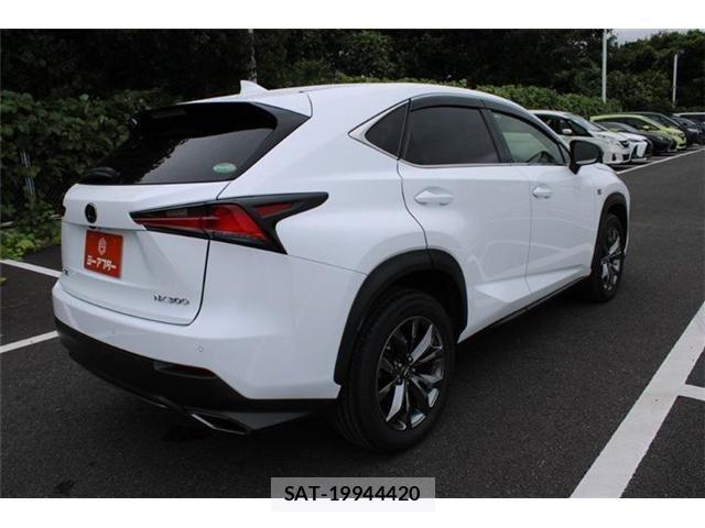 Lexus NX 2017-09 8880529-16