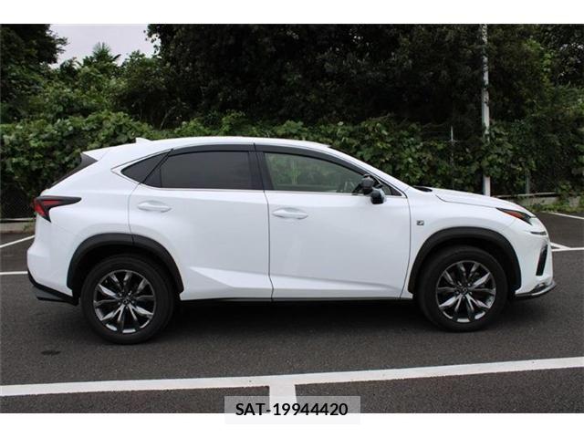 Lexus NX 2017-09 8880529-17