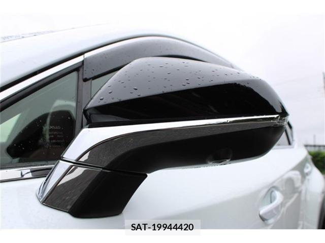 Lexus NX 2017-09 8880529-19
