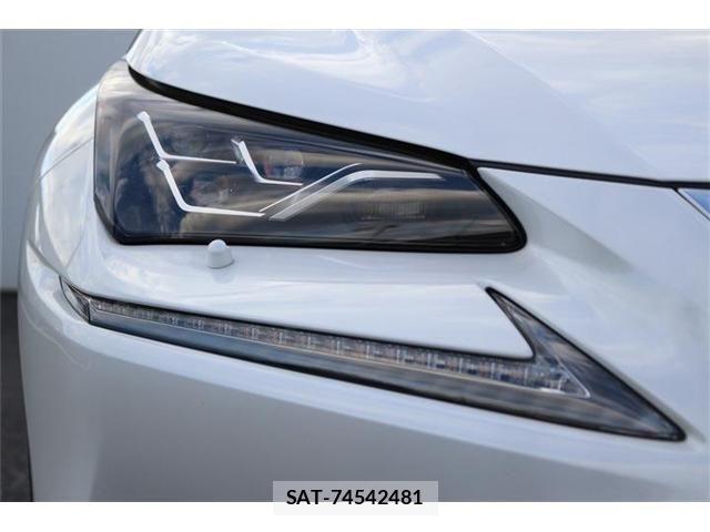 Lexus NX 2019-07 8883854-10