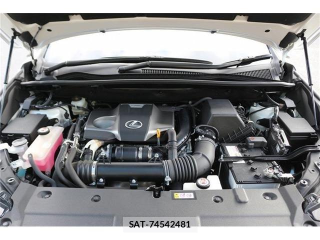 Lexus NX 2019-07 8883854-18