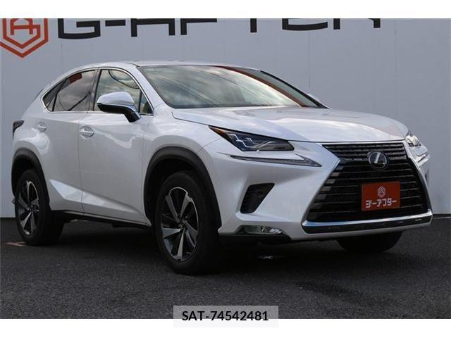 Lexus NX 2019-07 8883854-19