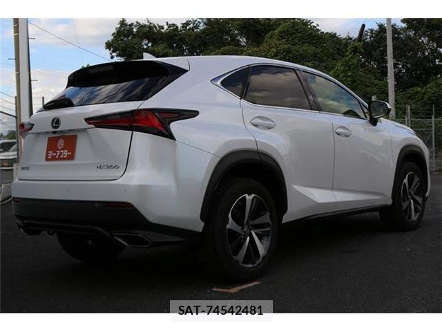 Lexus NX 2019-07 8883854-20