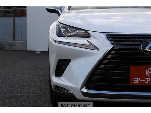 Lexus NX 2019-07 8883854-24