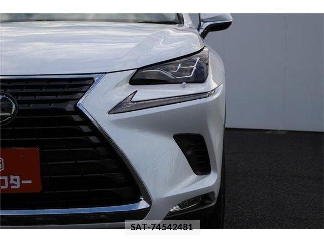 Lexus NX 2019-07 8883854-25