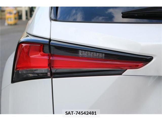 Lexus NX 2019-07 8883854-28