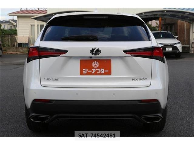 Lexus NX 2019-07 8883854-8
