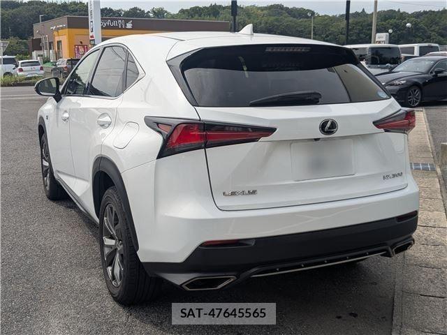 Lexus NX 2018-11 8883855-1