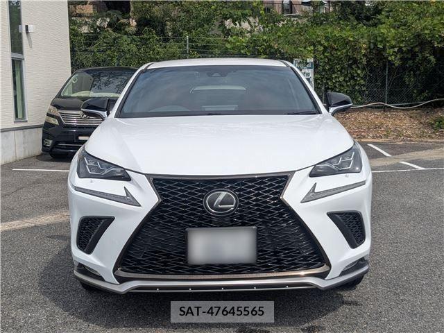 Lexus NX 2018-11 8883855-3