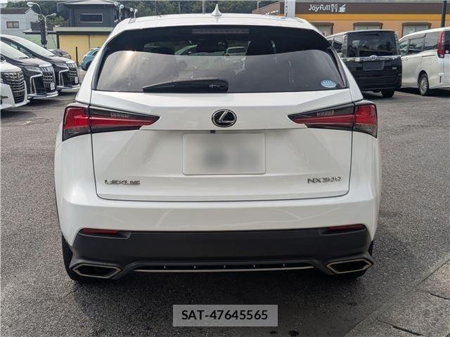 Lexus NX 2018-11 8883855-5