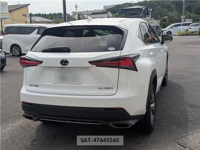 Lexus NX 2018-11 8883855-6
