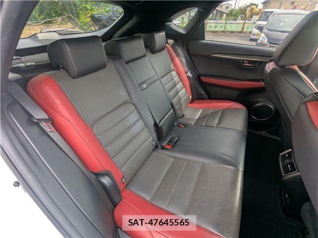 Lexus NX 2018-11 8883855-8