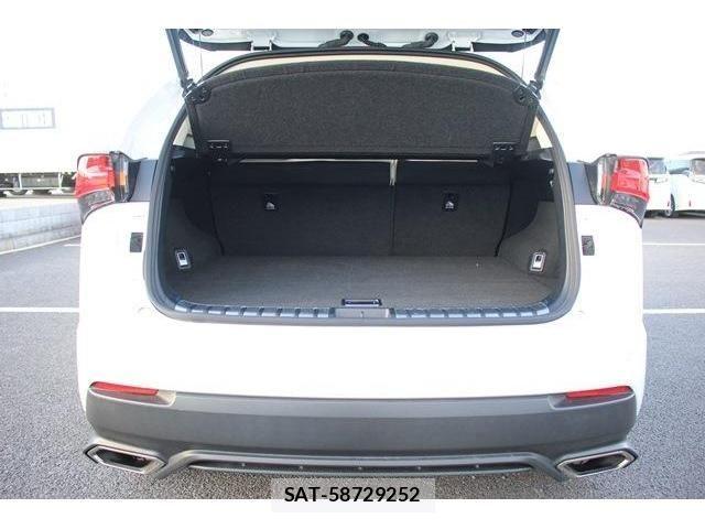 Lexus NX 2017-11 730486-17