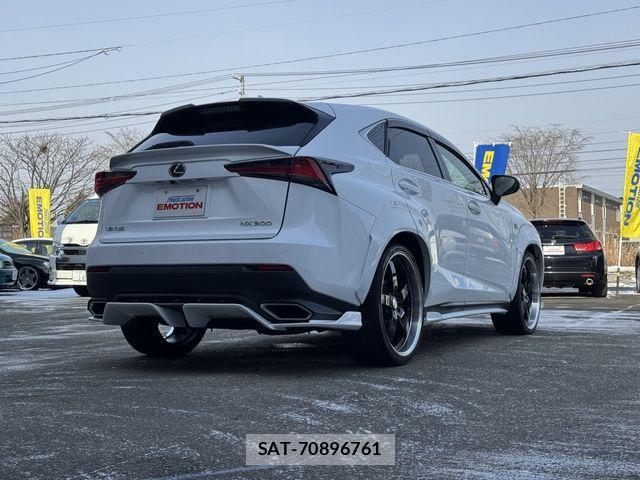 Lexus NX 2017-11 3674736-11