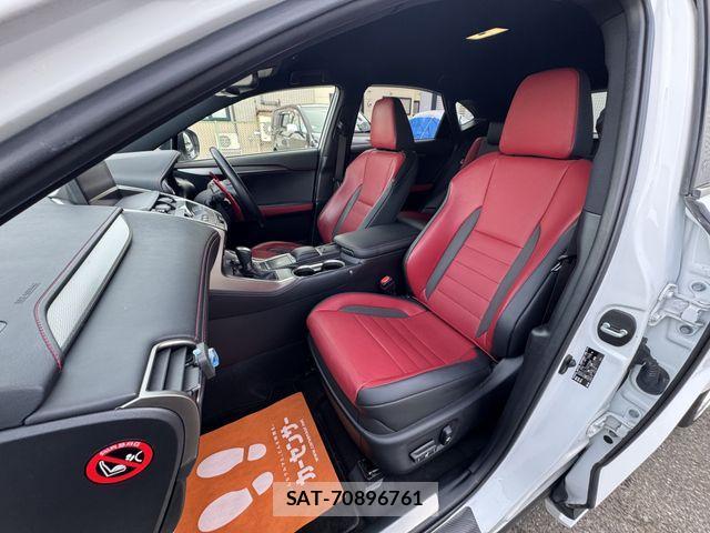 Lexus NX 2017-11 3674736-19