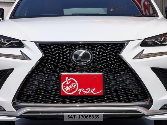 Lexus NX 2018-02 4421799-10