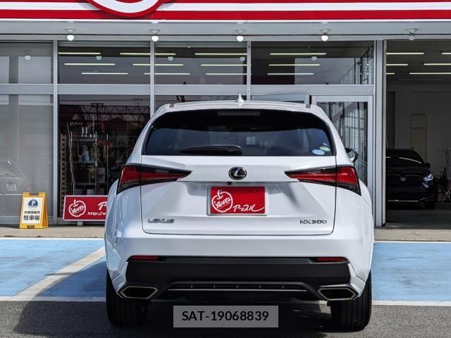 Lexus NX 2018-02 4421799-4