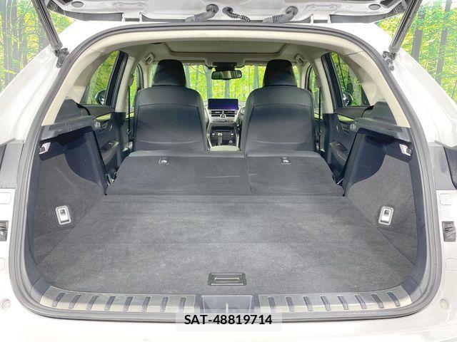 Lexus NX 2019-06 6612889-10