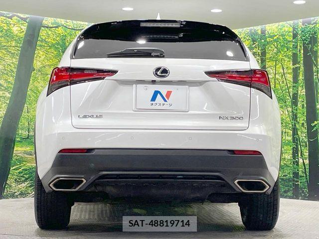 Lexus NX 2019-06 6612889-15