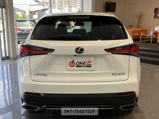 Lexus NX 2018-03 6612888-12