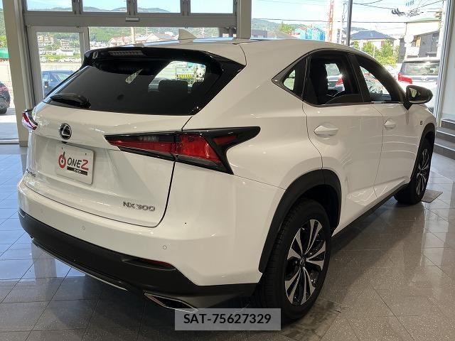 Lexus NX 2018-03 6612888-13
