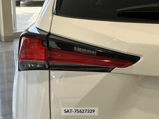 Lexus NX 2018-03 6612888-15