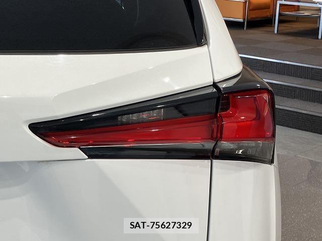 Lexus NX 2018-03 6612888-16