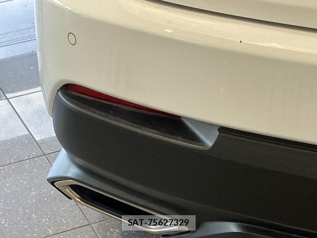 Lexus NX 2018-03 6612888-18