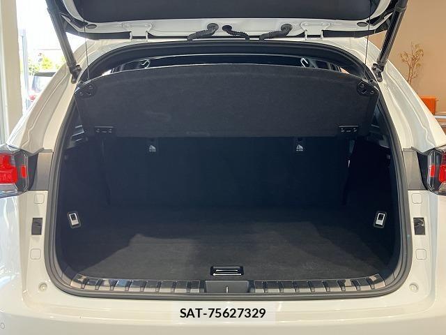 Lexus NX 2018-03 6612888-20
