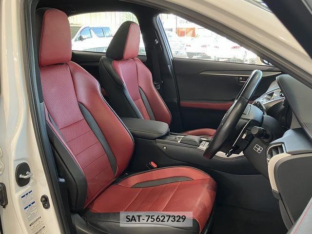 Lexus NX 2018-03 6612888-24
