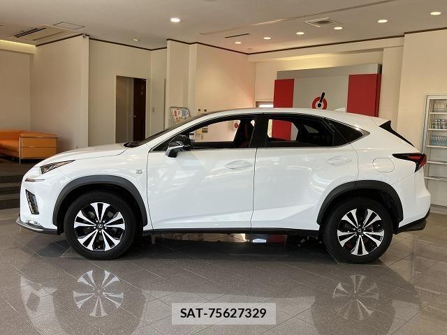 Lexus NX 2018-03 6612888-7