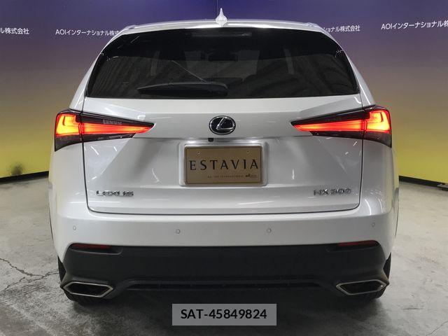 Lexus NX 2020-11 6691094-10