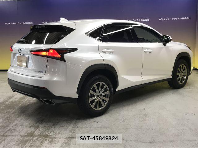 Lexus NX 2020-11 6691094-11