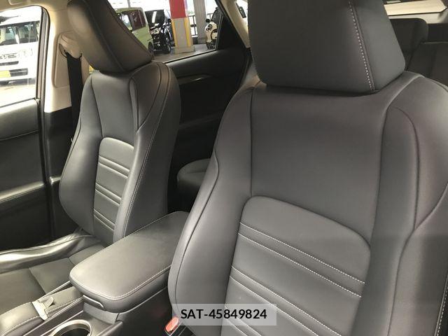 Lexus NX 2020-11 6691094-16
