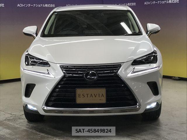 Lexus NX 2020-11 6691094-4