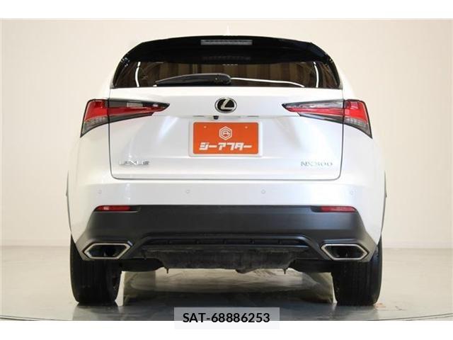 Lexus NX 2018-06 6907772-12