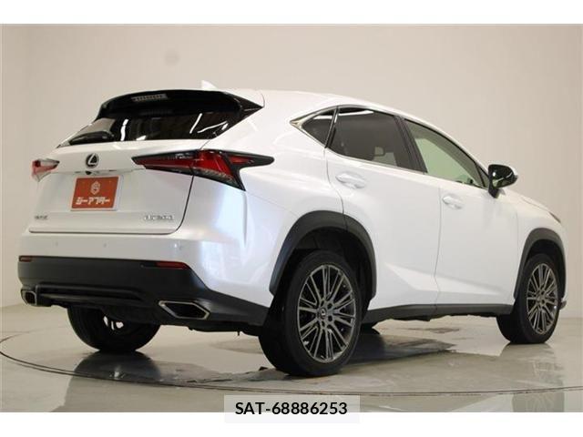 Lexus NX 2018-06 6907772-13