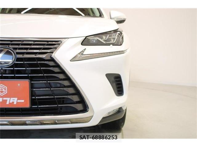Lexus NX 2018-06 6907772-15
