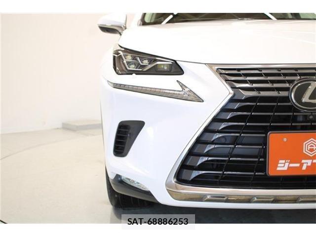 Lexus NX 2018-06 6907772-17
