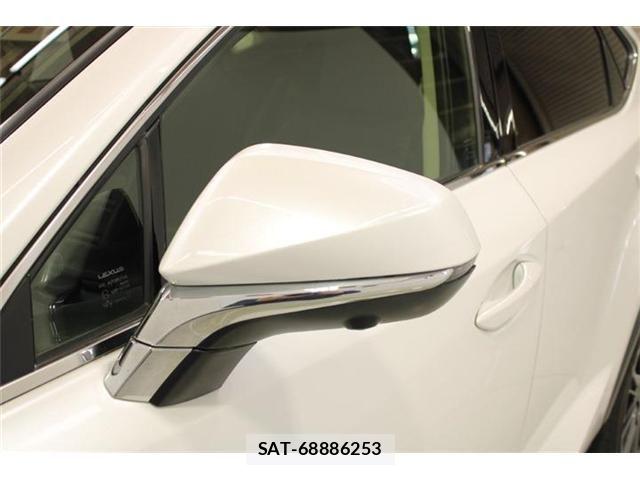 Lexus NX 2018-06 6907772-21