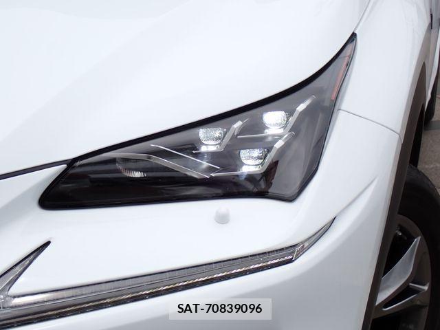 Lexus NX 2021-02 7221027-4