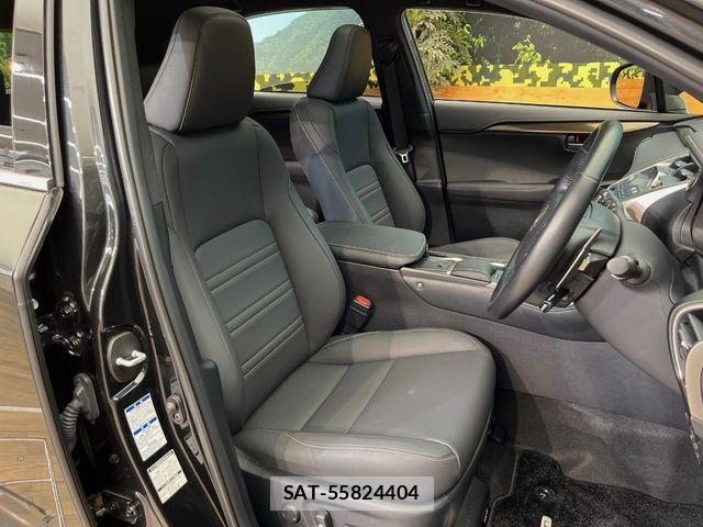 Lexus NX 2020-06 7328052-10