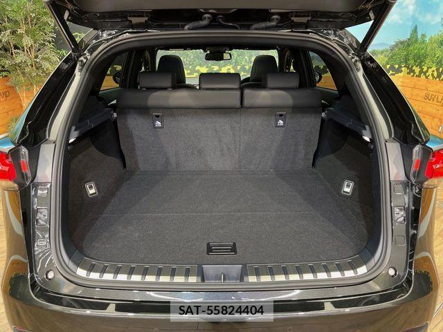 Lexus NX 2020-06 7328052-12