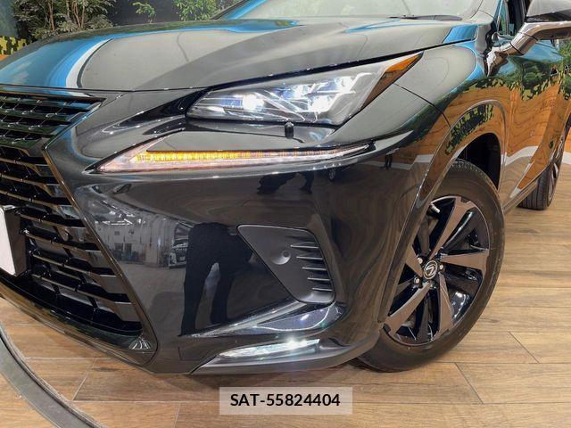 Lexus NX 2020-06 7328052-13