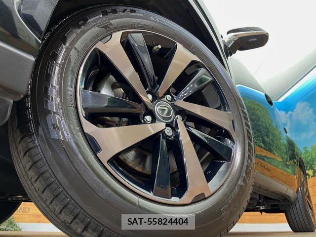Lexus NX 2020-06 7328052-14