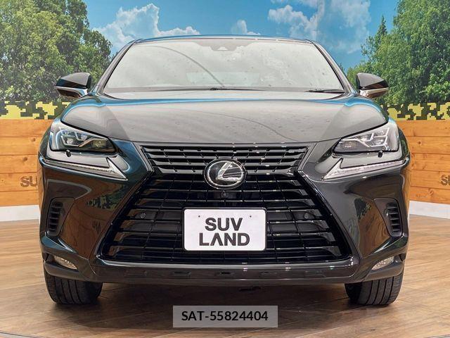 Lexus NX 2020-06 7328052-15