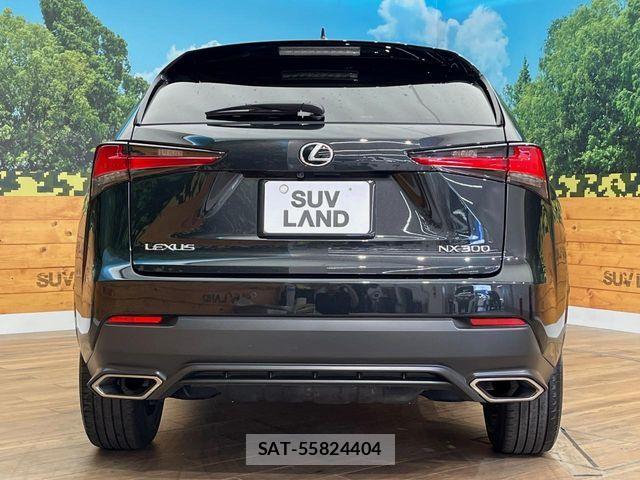 Lexus NX 2020-06 7328052-16