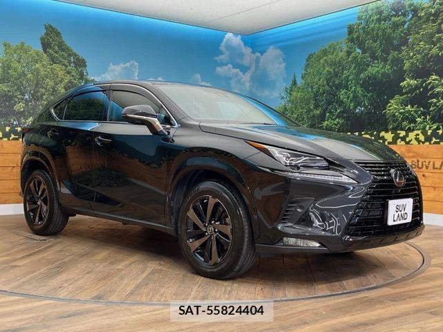 Lexus NX 2020-06 7328052-17