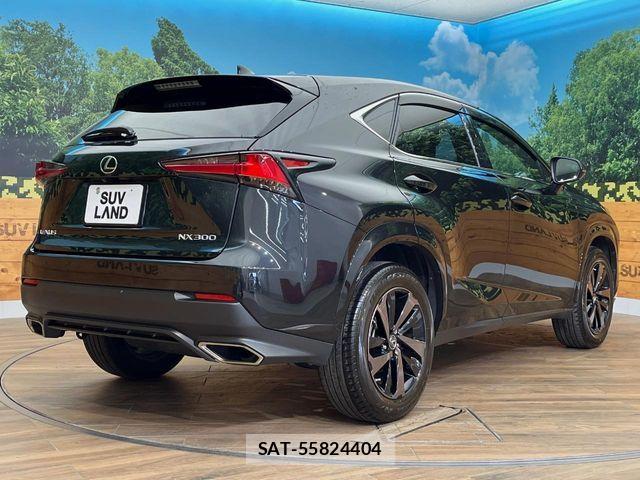 Lexus NX 2020-06 7328052-18