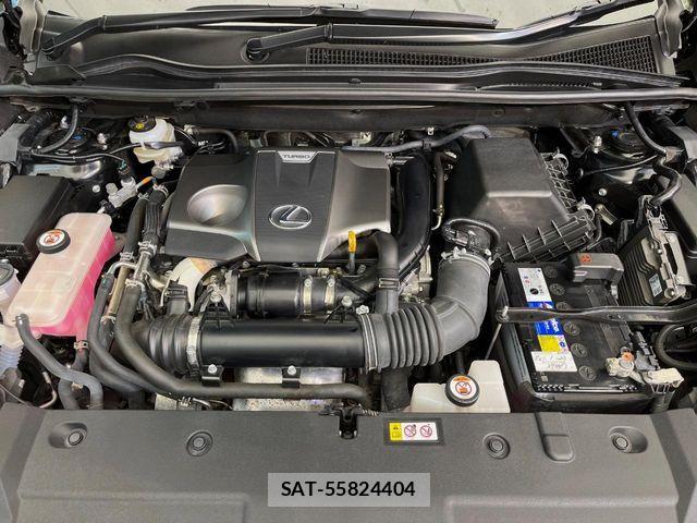 Lexus NX 2020-06 7328052-19